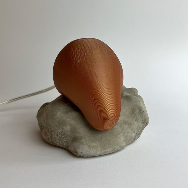 PEDRA MOLE MULTICOLORIDA Nº03 (EDIÇÃO LIMITADA)