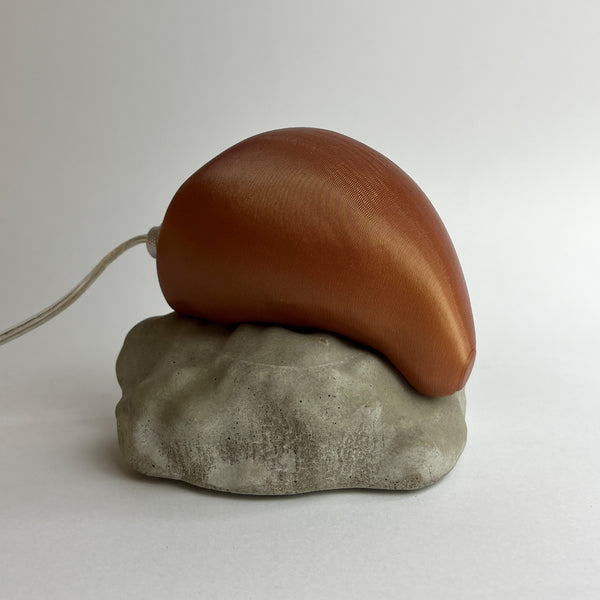 PEDRA MOLE MULTICOLORIDA Nº03 (EDIÇÃO LIMITADA)