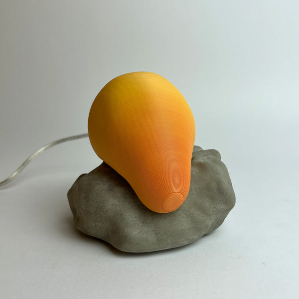 PEDRA MOLE MULTICOLORIDA Nº01 (EDIÇÃO LIMITADA)
