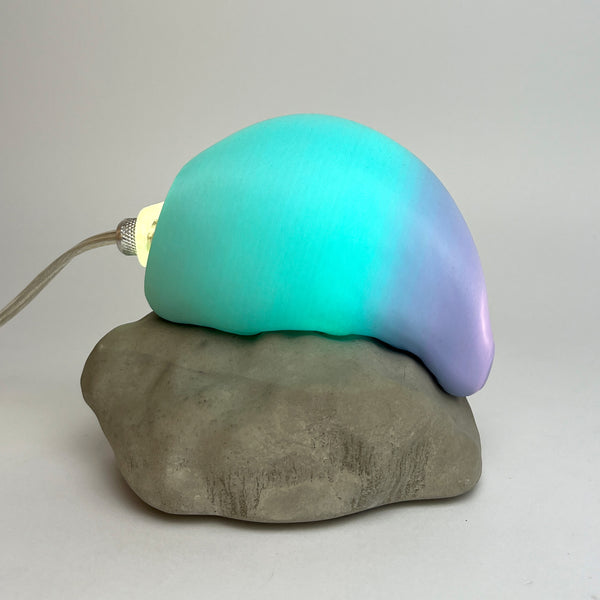 PEDRA MOLE MULTICOLORIDA Nº06 (EDIÇÃO LIMITADA)