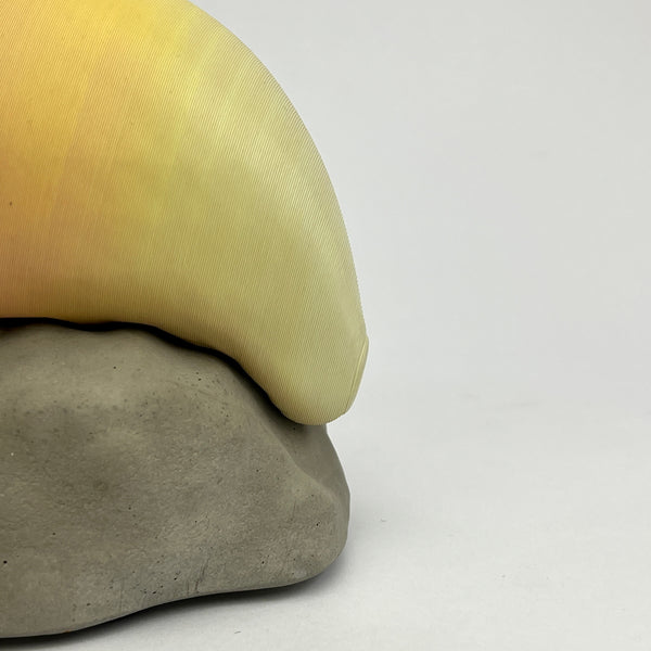 PEDRA MOLE MULTICOLORIDA Nº09 (EDIÇÃO LIMITADA)