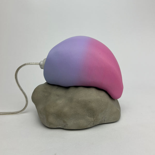 PEDRA MOLE MULTICOLORIDA Nº10 (EDIÇÃO LIMITADA)